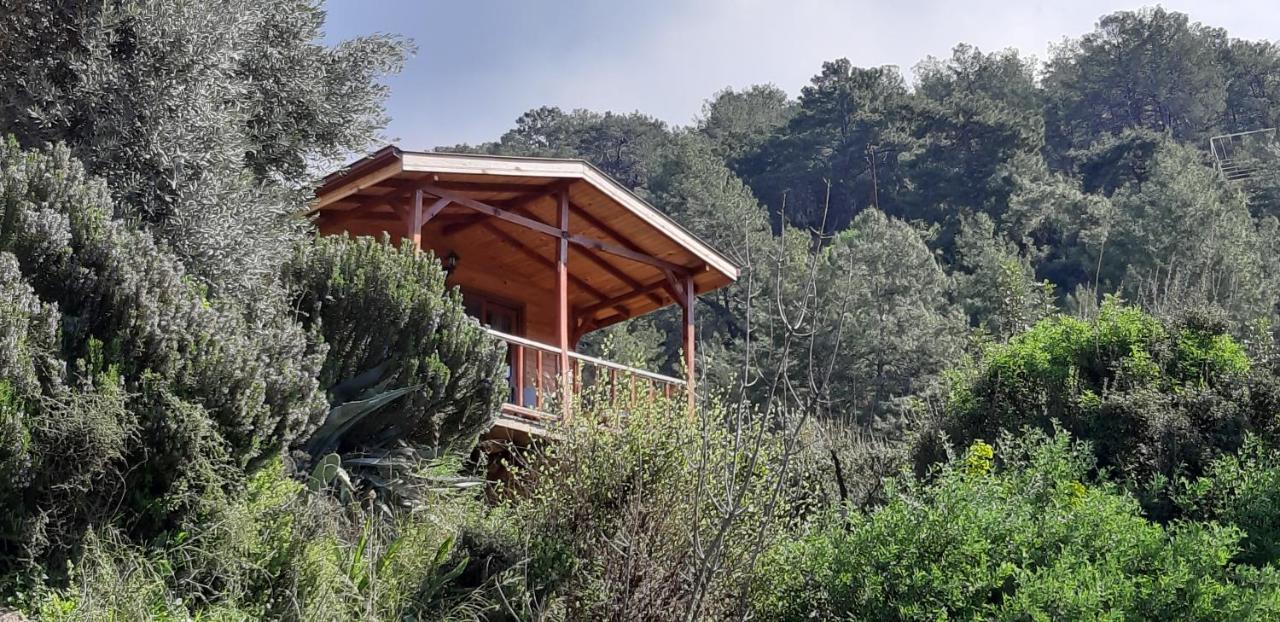 Appartamento Casa Roja Cedit Esterno foto