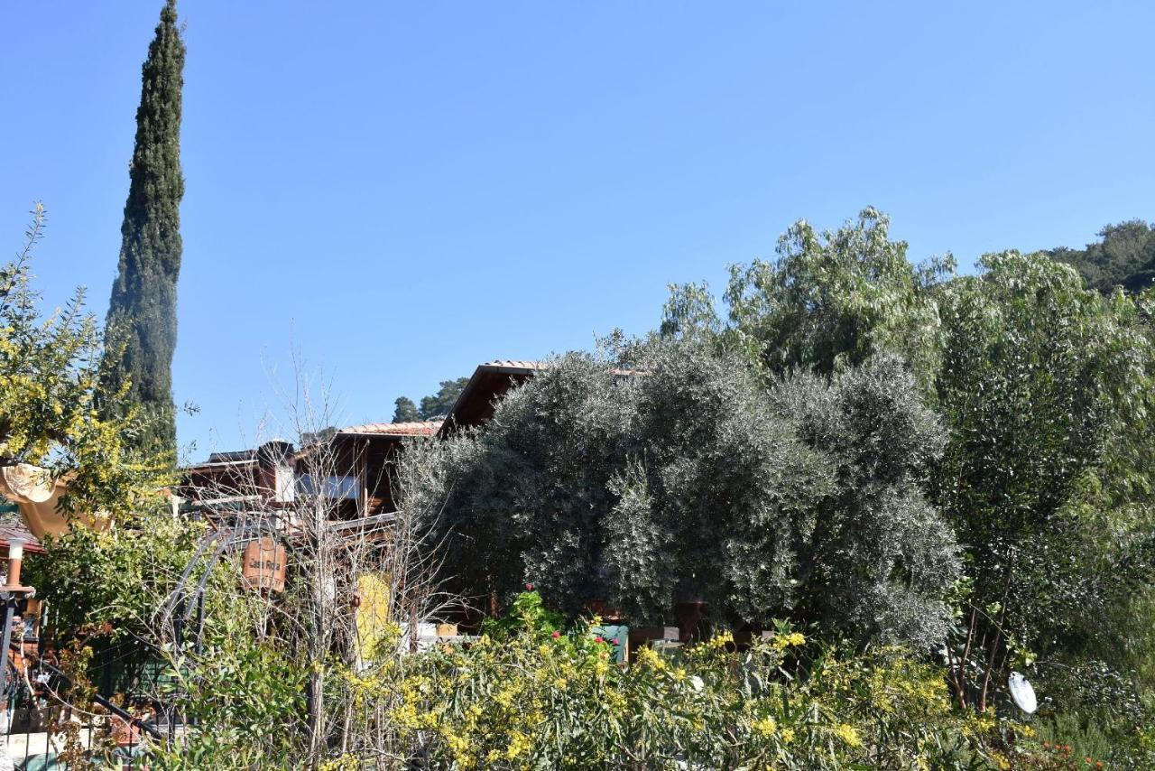 Appartamento Casa Roja Cedit Esterno foto