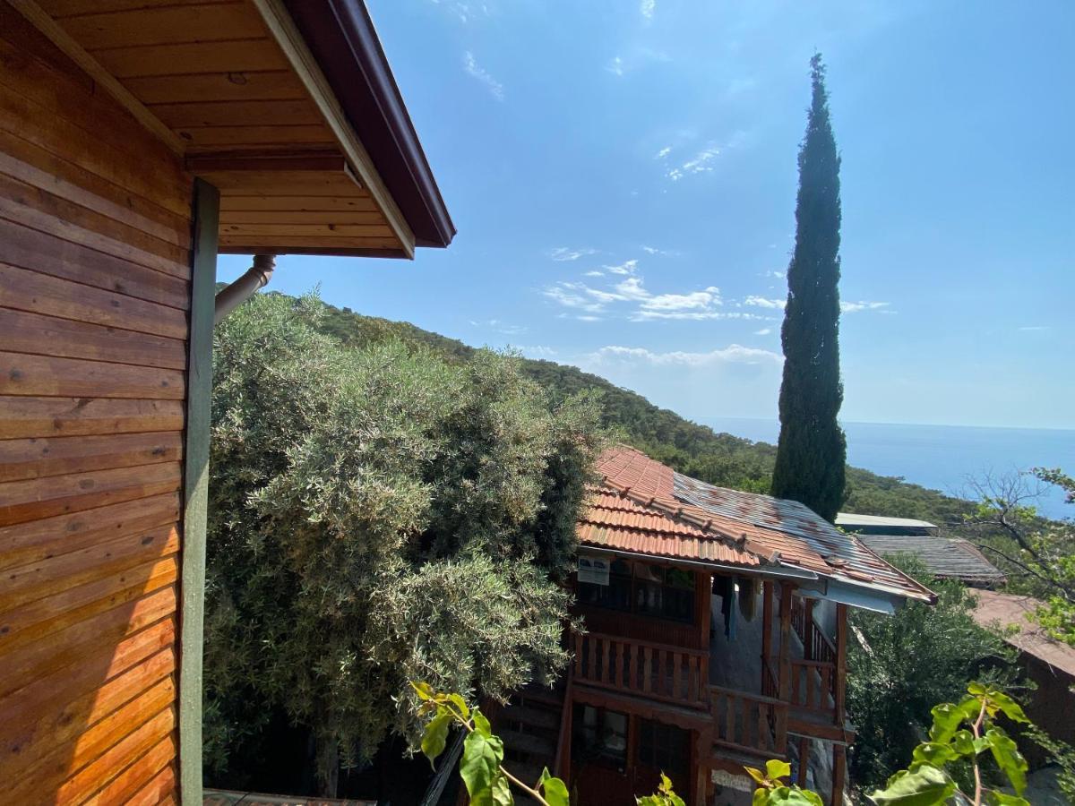 Appartamento Casa Roja Cedit Esterno foto