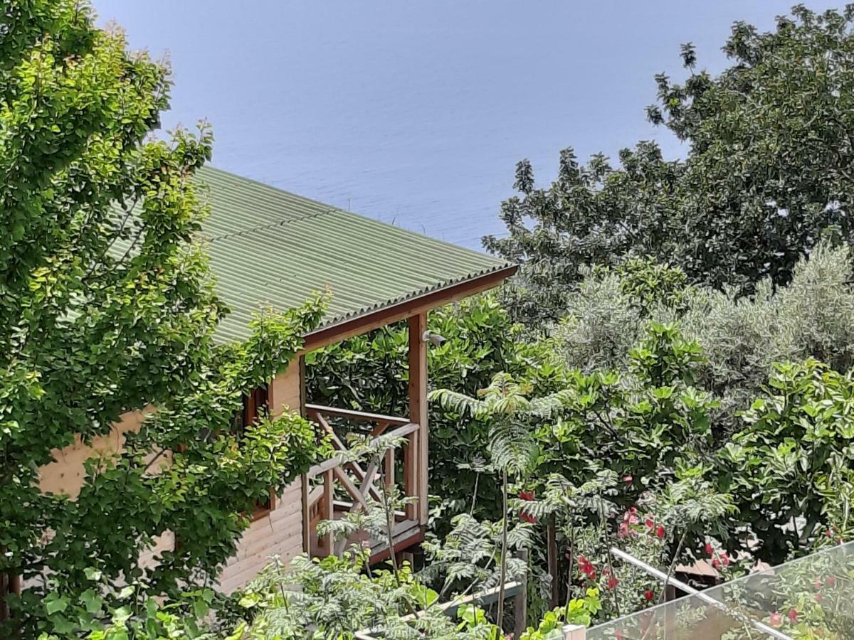 Appartamento Casa Roja Cedit Esterno foto
